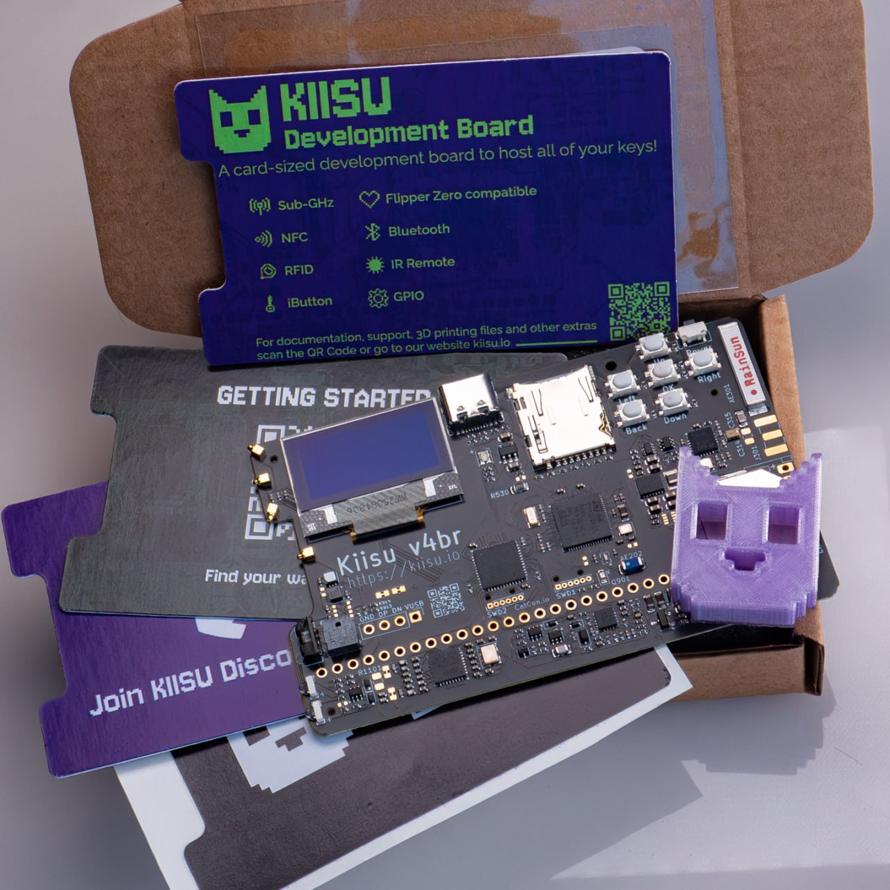 Kiisu V4br Development Board
