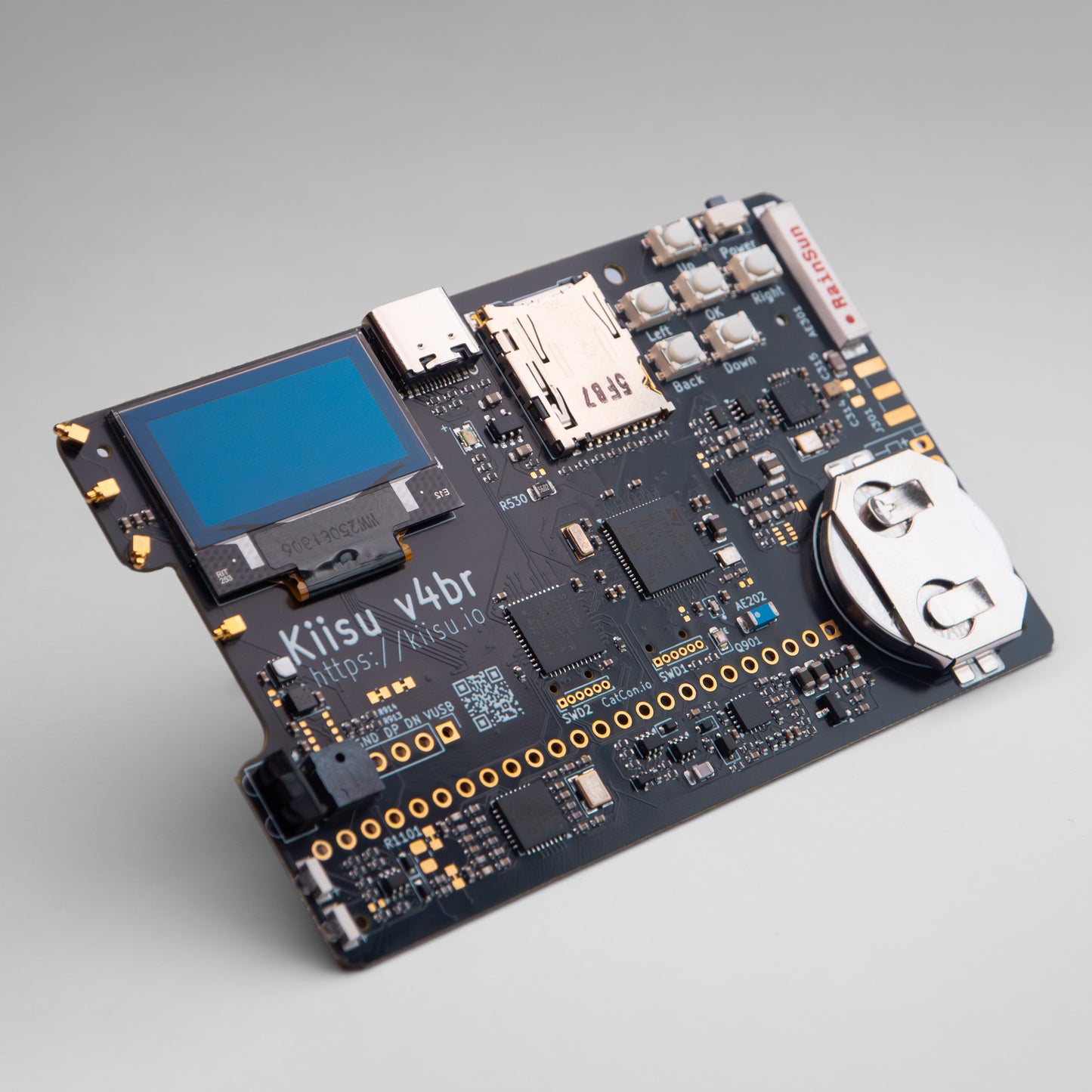 Kiisu V4br Development Board